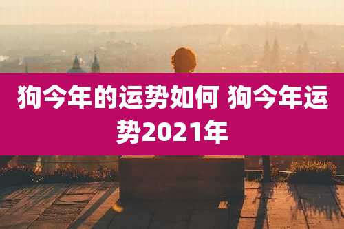 狗今年的运势如何 狗今年运势2021年