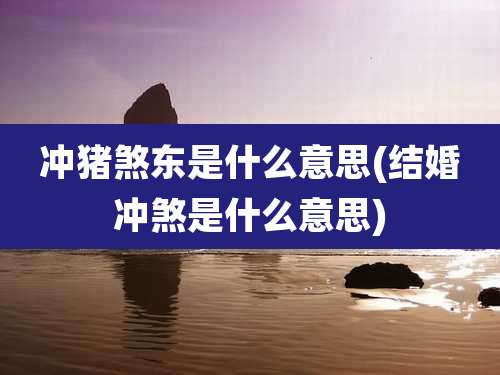 冲猪煞东是什么意思(结婚冲煞是什么意思)