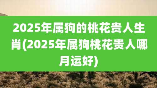 2025年属狗的桃花贵人生肖(2025年属狗桃花贵人哪月运好)