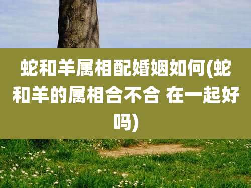 蛇和羊属相配婚姻如何(蛇和羊的属相合不合 在一起好吗)
