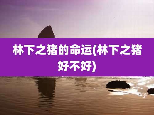 林下之猪的命运(林下之猪好不好)