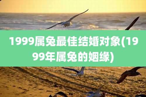 1999属兔最佳结婚对象(1999年属兔的姻缘)