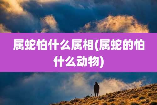 属蛇怕什么属相(属蛇的怕什么动物)