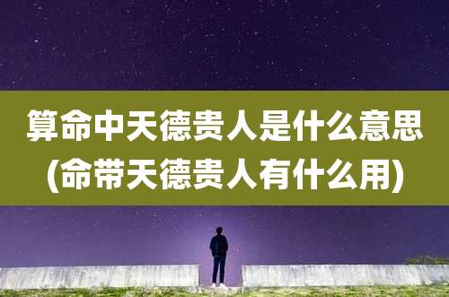 算命中天德贵人是什么意思(命带天德贵人有什么用)