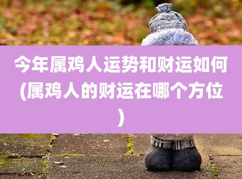 今年属鸡人运势和财运如何(属鸡人的财运在哪个方位)