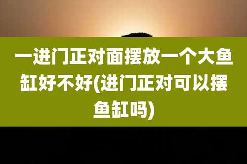 一进门正对面摆放一个大鱼缸好不好(进门正对可以摆鱼缸吗)