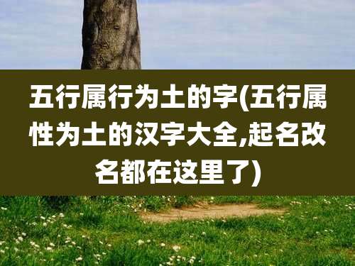 五行属行为土的字(五行属性为土的汉字大全,起名改名都在这里了)
