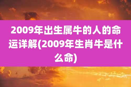 2009年出生属牛的人的命运详解(2009年生肖牛是什么命)