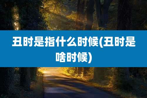 丑时是指什么时候(丑时是啥时候)