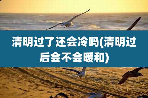 清明过了还会冷吗(清明过后会不会暖和)