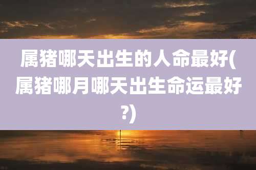 属猪哪天出生的人命最好(属猪哪月哪天出生命运最好?)