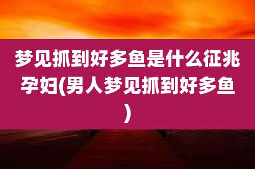 梦见抓到好多鱼是什么征兆孕妇(男人梦见抓到好多鱼)