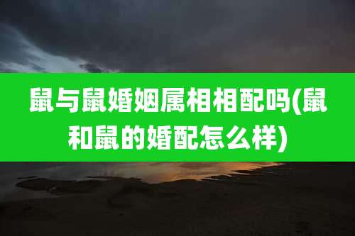 鼠与鼠婚姻属相相配吗(鼠和鼠的婚配怎么样)