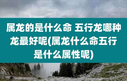 属龙的是什么命 五行龙哪种龙最好呢(属龙什么命五行是什么属性呢)