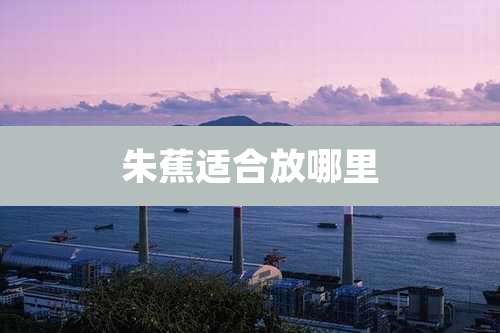 朱蕉适合放哪里