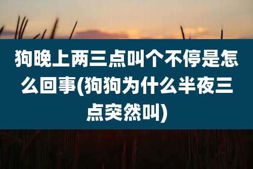 狗晚上两三点叫个不停是怎么回事(狗狗为什么半夜三点突然叫)