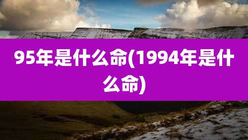 95年是什么命(1994年是什么命)