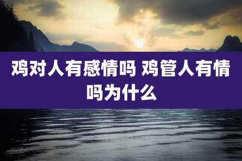 鸡对人有感情吗 鸡管人有情吗为什么