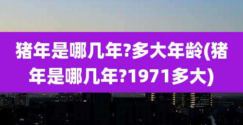猪年是哪几年?多大年龄(猪年是哪几年?1971多大)