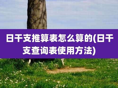 日干支推算表怎么算的(日干支查询表使用方法)