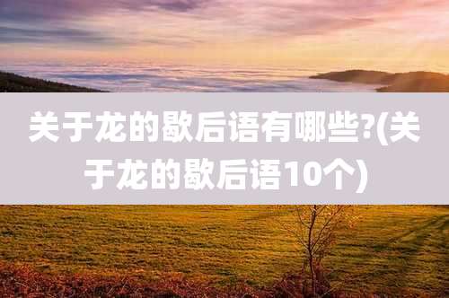 关于龙的歇后语有哪些?(关于龙的歇后语10个)