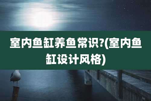 室内鱼缸养鱼常识?(室内鱼缸设计风格)