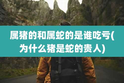 属猪的和属蛇的是谁吃亏(为什么猪是蛇的贵人)