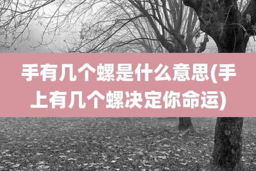 手有几个螺是什么意思(手上有几个螺决定你命运)