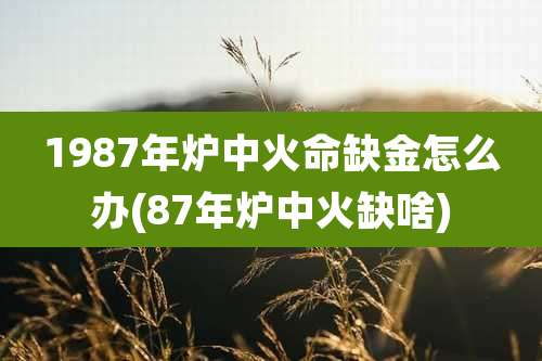 1987年炉中火命缺金怎么办(87年炉中火缺啥)