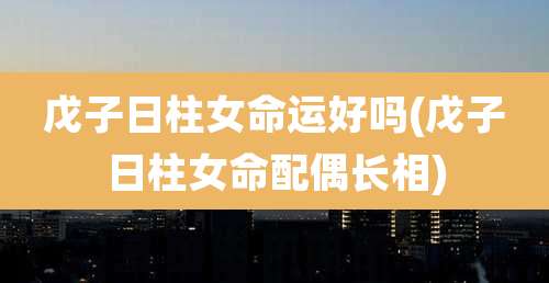 戊子日柱女命运好吗(戊子日柱女命配偶长相)