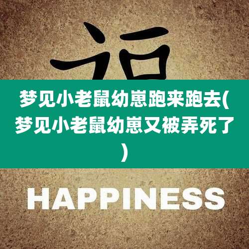 梦见小老鼠幼崽跑来跑去(梦见小老鼠幼崽又被弄死了)