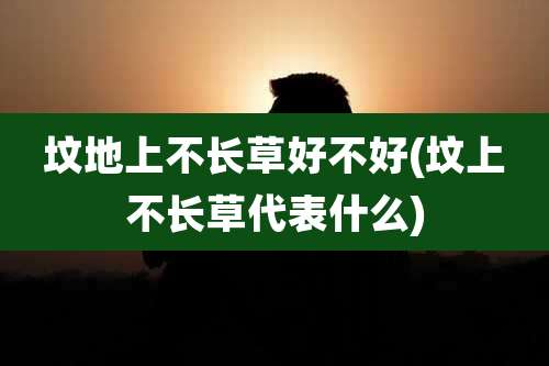 坟地上不长草好不好(坟上不长草代表什么)
