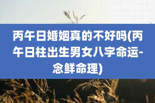 丙午日婚姻真的不好吗(丙午日柱出生男女八字命运-念鲜命理)