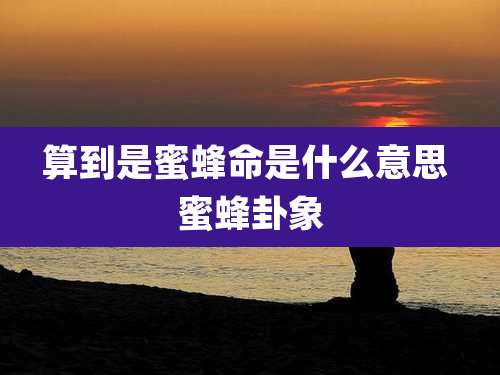 算到是蜜蜂命是什么意思 蜜蜂卦象