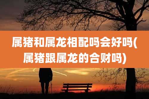 属猪和属龙相配吗会好吗(属猪跟属龙的合财吗)