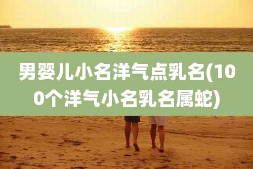 男婴儿小名洋气点乳名(100个洋气小名乳名属蛇)