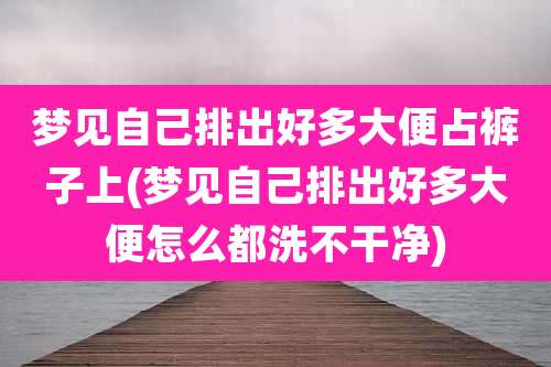 梦见自己排出好多大便占裤子上(梦见自己排出好多大便怎么都洗不干净)