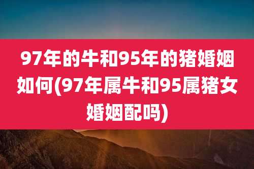 97年的牛和95年的猪婚姻如何(97年属牛和95属猪女婚姻配吗)
