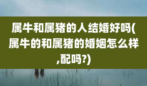属牛和属猪的人结婚好吗(属牛的和属猪的婚姻怎么样,配吗?)
