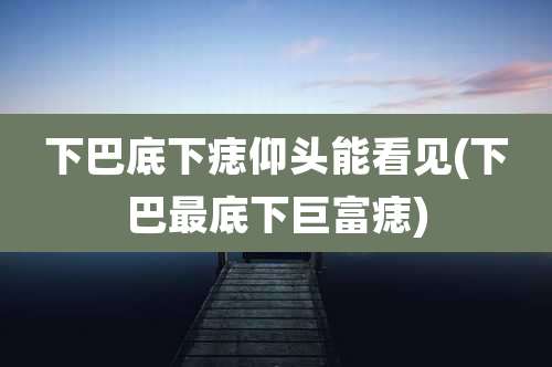 下巴底下痣仰头能看见(下巴最底下巨富痣)