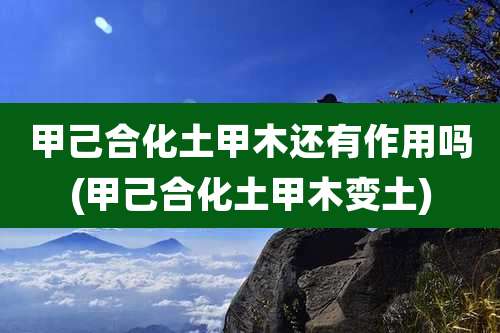 甲己合化土甲木还有作用吗(甲己合化土甲木变土)