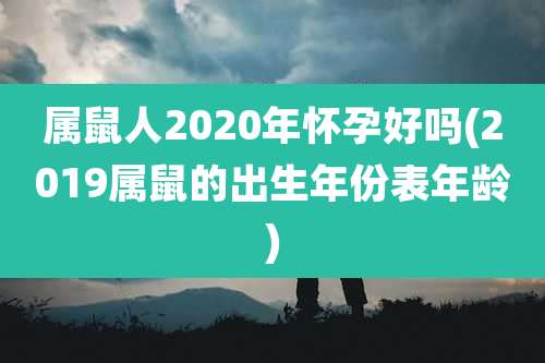 属鼠人2020年怀孕好吗(2019属鼠的出生年份表年龄)