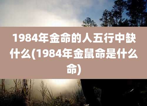 1984年金命的人五行中缺什么(1984年金鼠命是什么命)