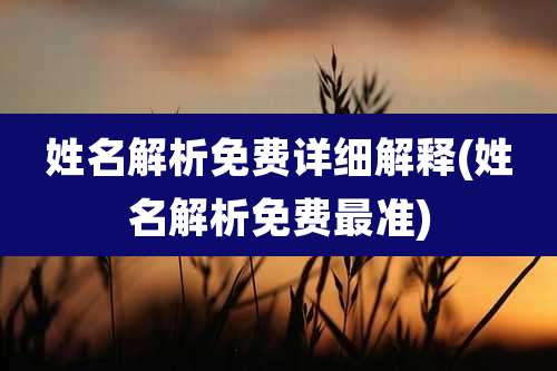 姓名解析免费详细解释(姓名解析免费最准)