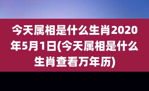 今天属相是什么生肖2020年5月1日(今天属相是什么生肖查看万年历)