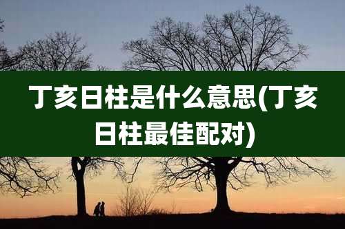 丁亥日柱是什么意思(丁亥日柱最佳配对)