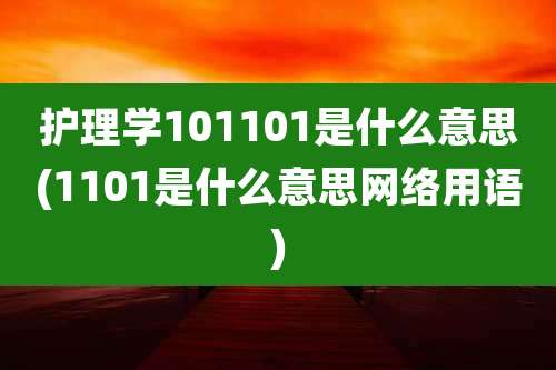护理学101101是什么意思(1101是什么意思网络用语)