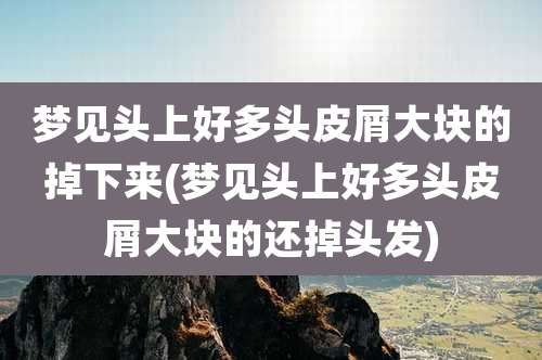 梦见头上好多头皮屑大块的掉下来(梦见头上好多头皮屑大块的还掉头发)