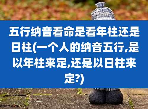 五行纳音看命是看年柱还是日柱(一个人的纳音五行,是以年柱来定,还是以日柱来定?)