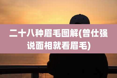 二十八种眉毛图解(曾仕强说面相就看眉毛)